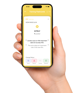 Train your Memory with Flashcards